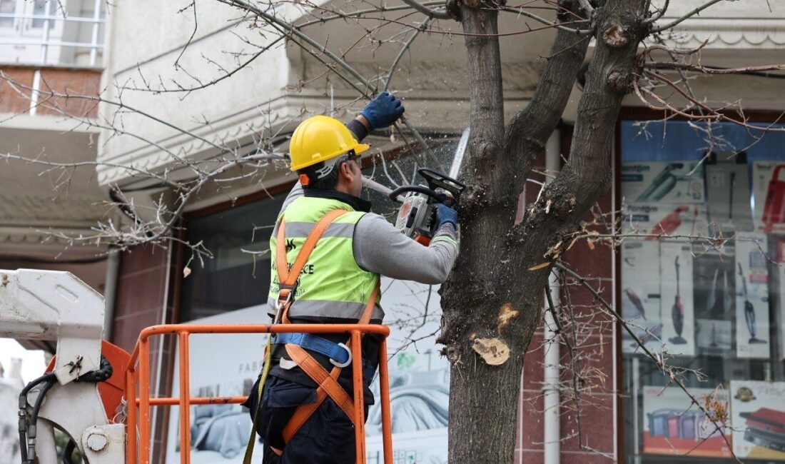Küçükçekmece Belediyesi, ağaç budama çalışmalarından elde edilen ağaç dallarıyla ihtiyaç