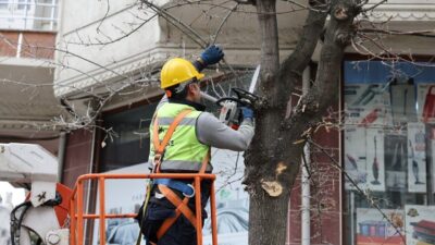 Küçükçekmece Belediyesi, ağaç budama çalışmalarından elde edilen ağaç dallarıyla ihtiyaç