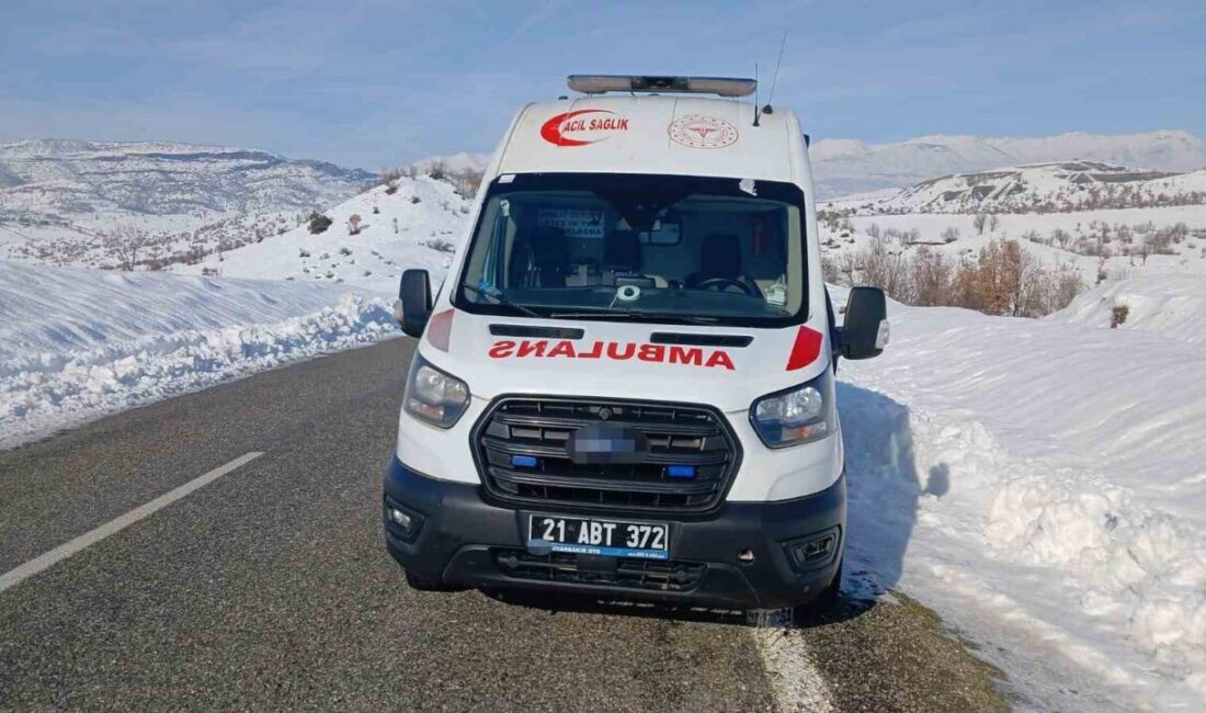 Diyarbakır’da kar ve soğuk havanın etkili olduğu Kulp ilçesinde bir