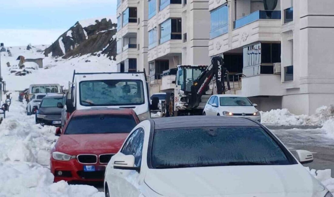 Diyarbakır’ın Kulp ilçesinde gece hava sıcaklığının eksi 16-17 derecelere kadar