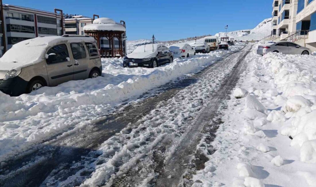Diyarbakır’ın Kulp ilçesinde 4 gün boyunca etkili olan yoğun kar