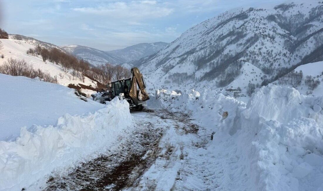 Diyarbakır’ın Kulp ilçesinde sabah saatlerinde sis bastı, öğleye doğru karla