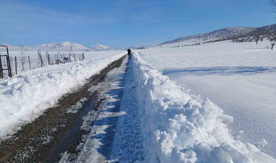 Diyarbakır’ın Kulp ilçesinde yoğun kar yağışı ve buzlanma nedeniyle taşımalı