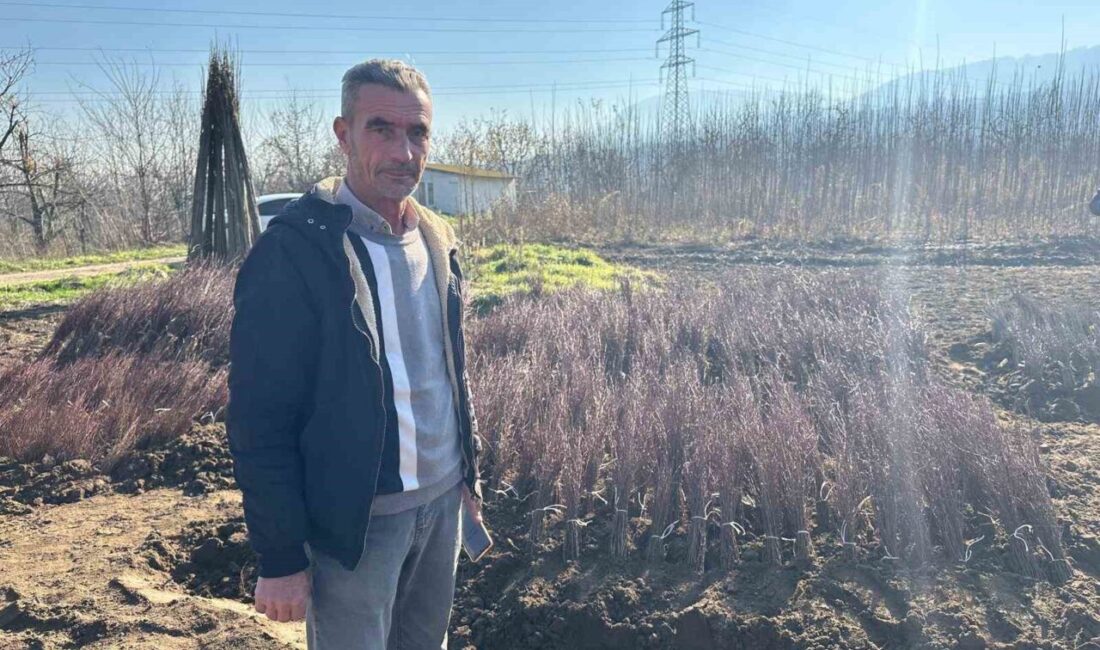 Bursa’nın İnegöl ilçesine bağlı kırsal Cerrah Mahallesi’nin, yılda yaklaşık 15 milyon