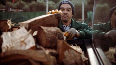 Kuşadası Belediyesi, kent genelinde mevsim şartlarına bağlı olarak gerçekleştirdiği budama