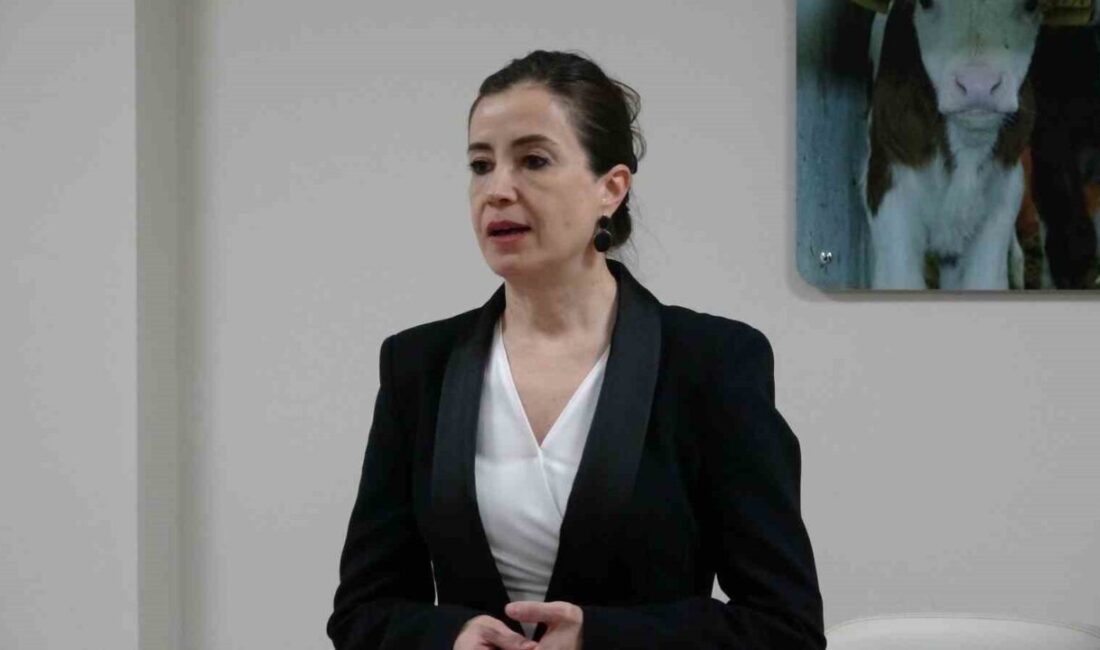 Tarım ve Kırsal Kalkınmayı Destekleme Kurumu (TKDK) Kütahya İl Koordinatörü