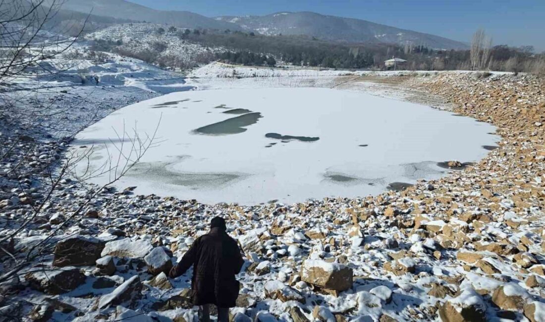 Kütahya’nın Demirciören köyünde bulunan gölet, etkili olan dondurucu soğuklar nedeniyle