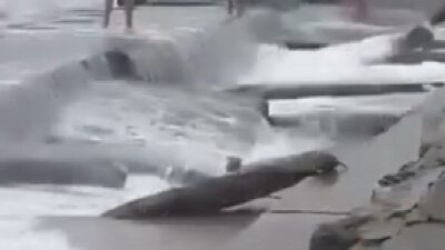 Kadıköy Caddebostan Sahili’nde denize girdikleri sırada kuvvetli lodos nedeniyle yükselen