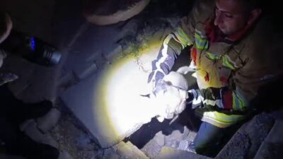 Hatay’da kuyuya düşerek mahsur kalan köpeği itfaiye kurtardı. Antakya ilçesi