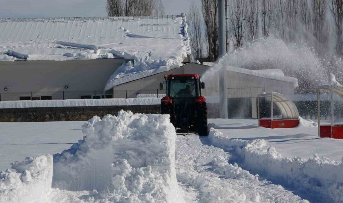 Muş’ta etkili olan yoğun kar yağışı spor müsabakalarını da olumsuz
