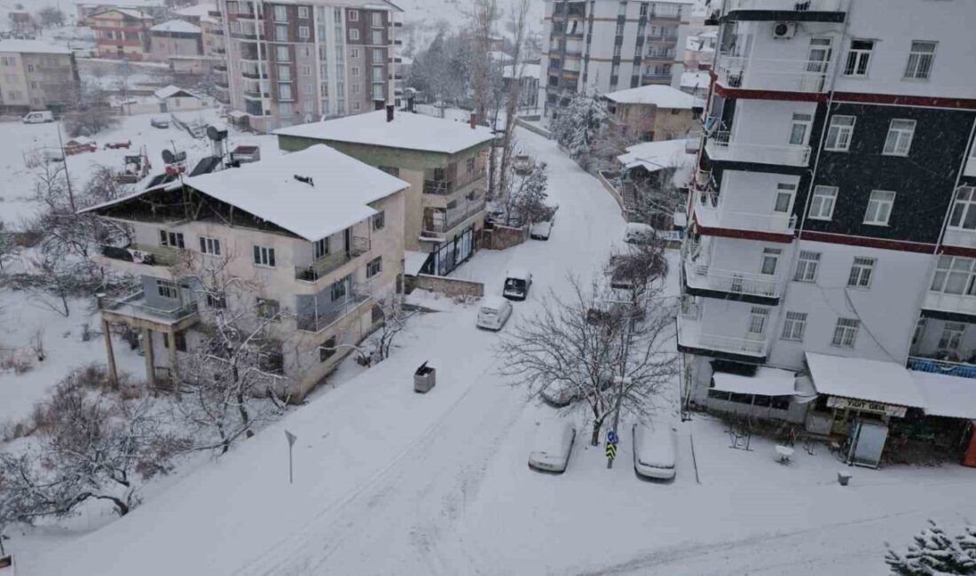 Malatya’da kırsal bölgelerde kar kalınlığı 30 santimetreye ulaşırken, yüksek kesimlerde
