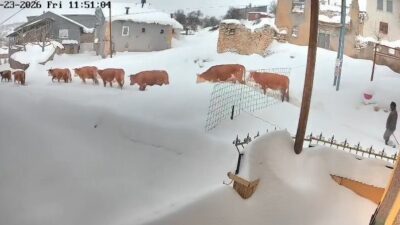 Malatya’da etkili olan yoğun kar yağışı, kırsal bölgelerde hayatı olumsuz