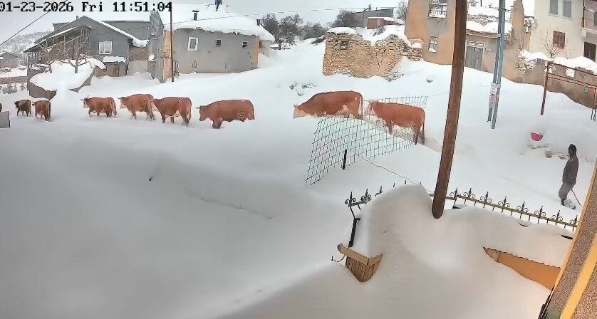Malatya’da etkili olan yoğun kar yağışı, kırsal bölgelerde hayatı olumsuz