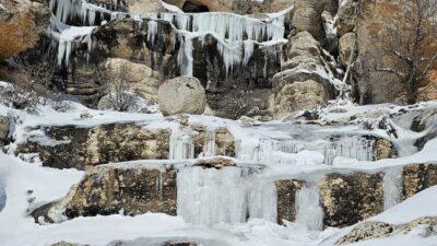 Malatya’da etkili olan dondurucu soğuklar nedeniyle ağaçlar, bitkiler ve akarsular