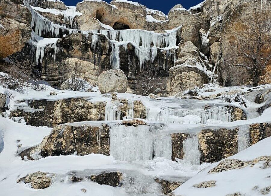 Malatya’da etkili olan dondurucu soğuklar nedeniyle ağaçlar, bitkiler ve akarsular