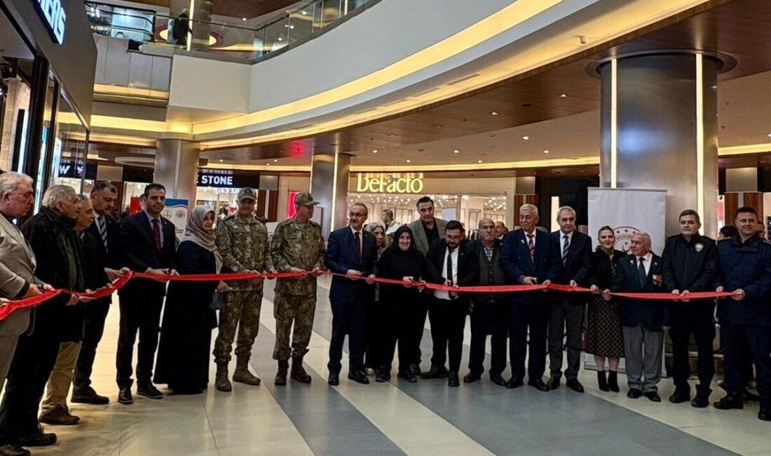 Türkiye Şehit Aileleri ve Gaziler Vakfı, Malatya İl Millî Eğitim