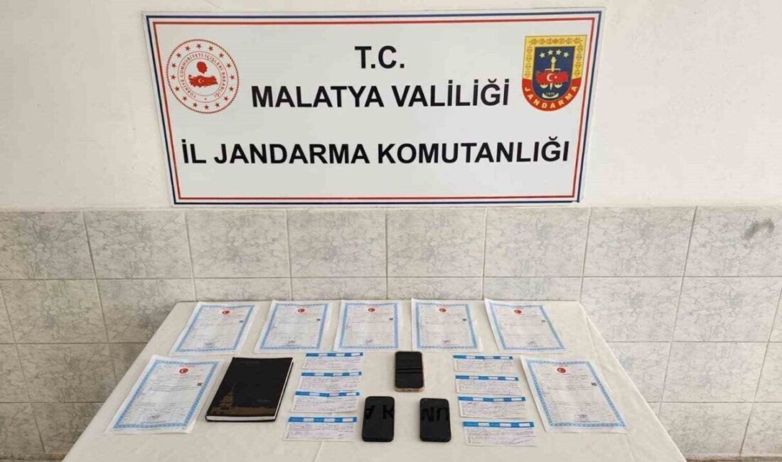 Malatya’da jandarma ekiplerince düzenlenen operasyonda, 3 şüpheliye ait adreslerde yapılan