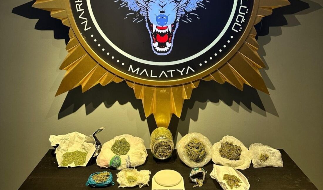 Malatya’da sokak satıcılarına yönelik düzenlenen operasyonda 800 gram esrar maddesi