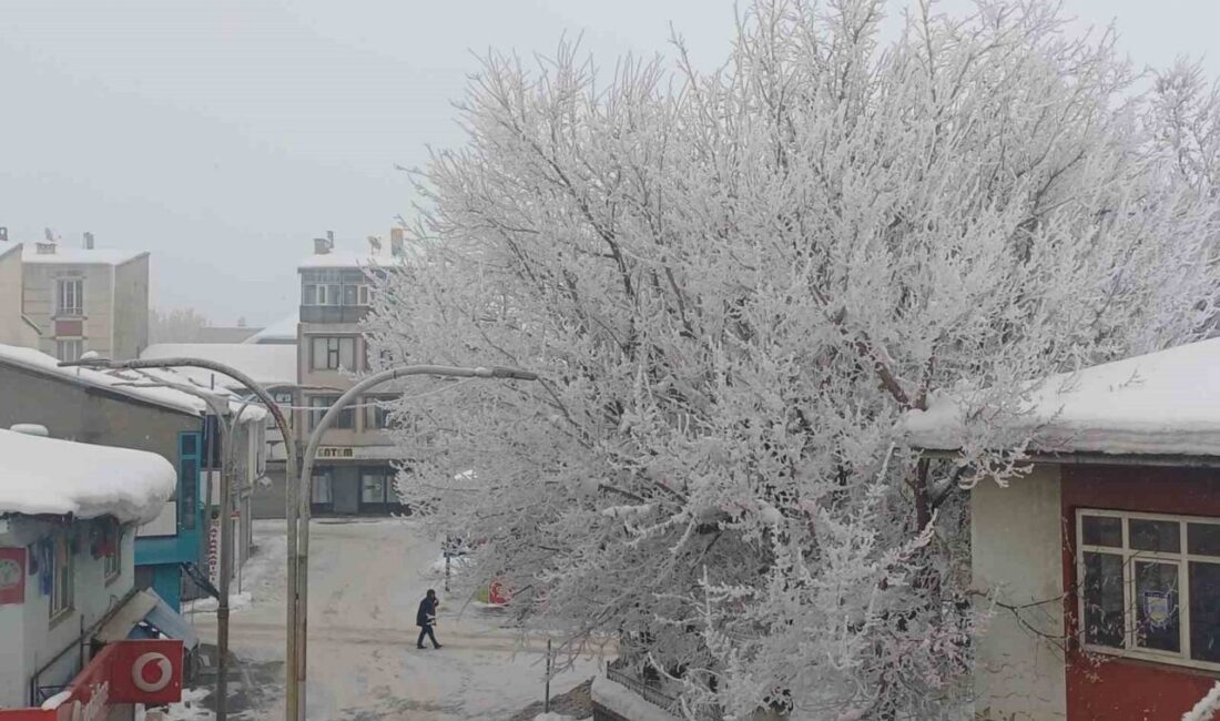 Muş’un Malazgirt ilçesinde etkili olan soğuk ve dondurucu hava, kırağı