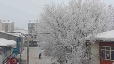 Muş’un Malazgirt ilçesinde etkili olan soğuk ve dondurucu hava, kırağı