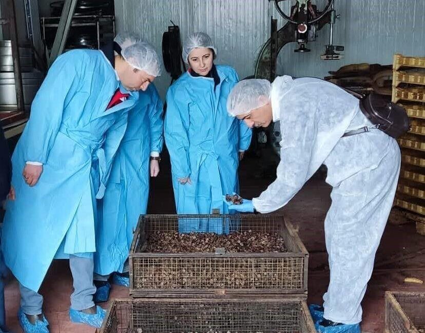 Afyonkarahisar’da köpek maması hammaddesi üretim tesisinde denetim yapıldı. Denetim Afyonkarahisar