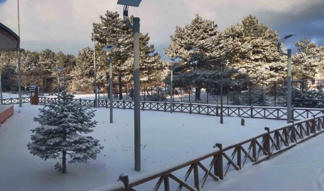 Manisa’nın önemli doğal alanlarından biri olan Spil Dağı Milli Parkı,