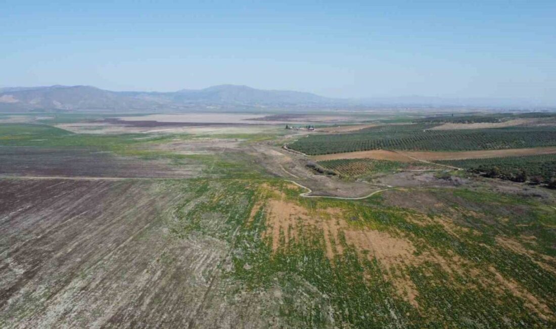Manisa’nın Salihli, Gölmarmara ve Saruhanlı sınırları içerisinde yer alan ve