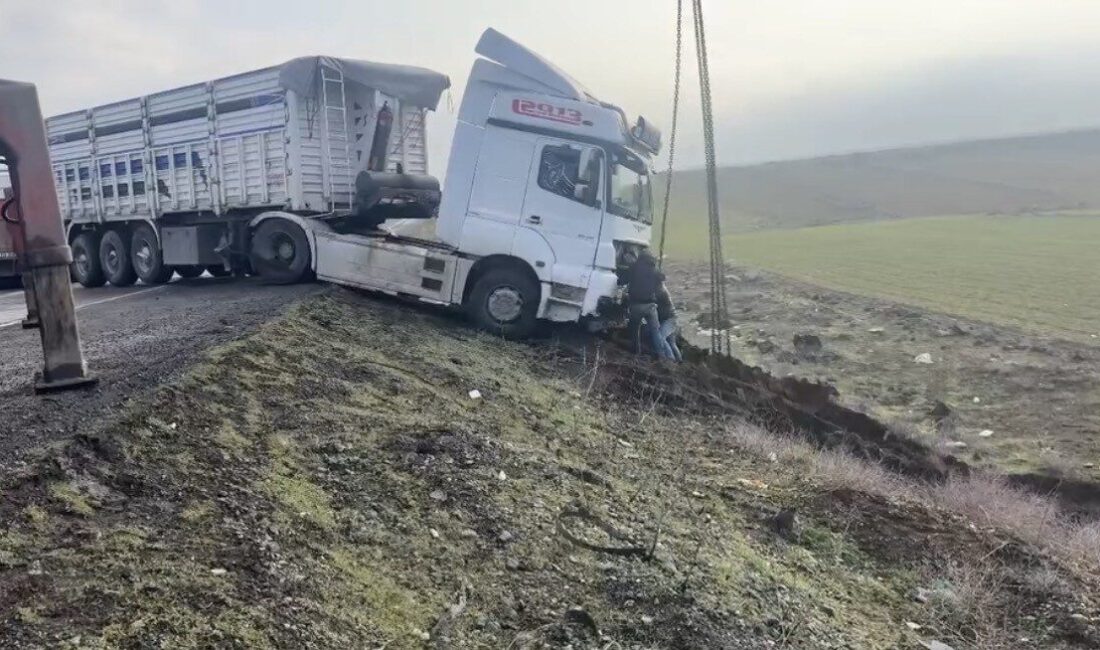 Mardin’in Nusaybin ilçesinde kontrolden çıkan tır yol kenarına savruldu. Edinilen