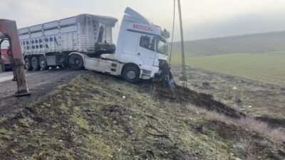 Mardin’in Nusaybin ilçesinde kontrolden çıkan tır yol kenarına savruldu. Edinilen