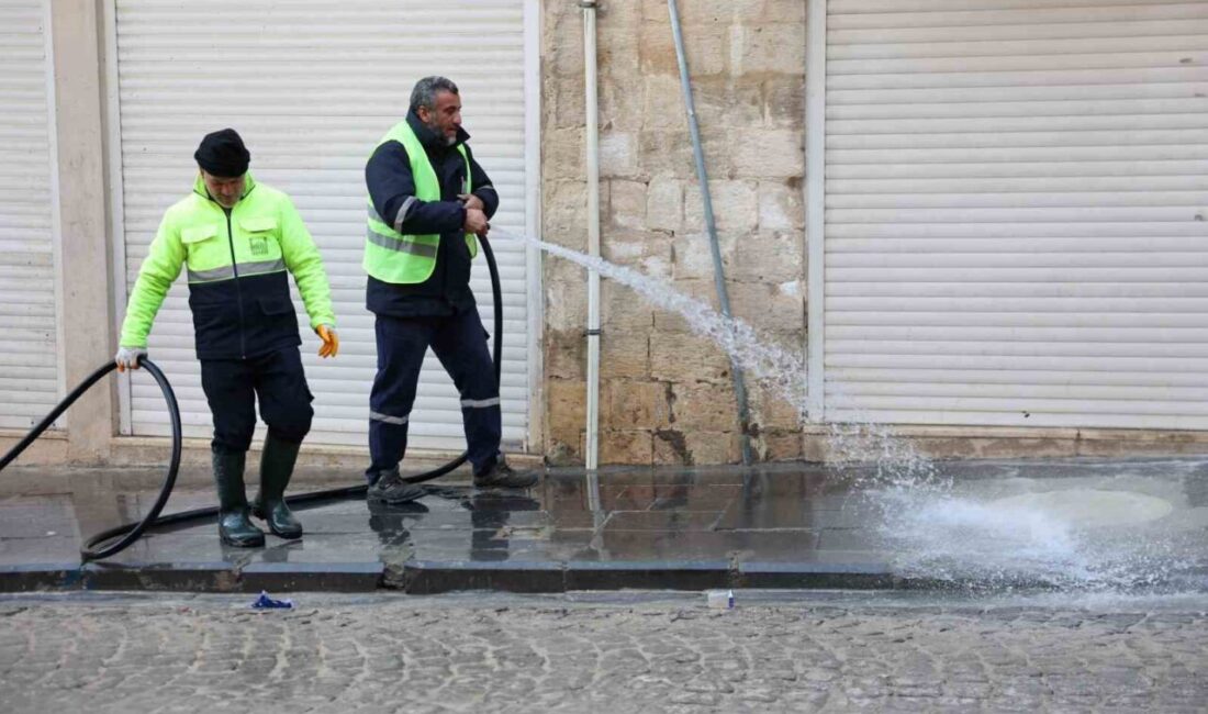 Mardin Büyükşehir Belediyesi Çevre Koruma ve Kontrol Daire Başkanlığı ekipleri,
