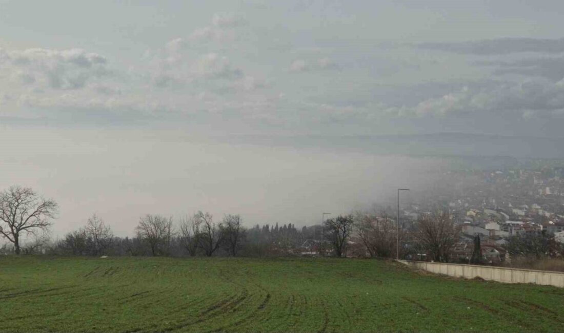 Marmara Denizi’nin Tekirdağ’ın Süleymanpaşa ilçesi açıkları ile kentin bazı noktalarında
