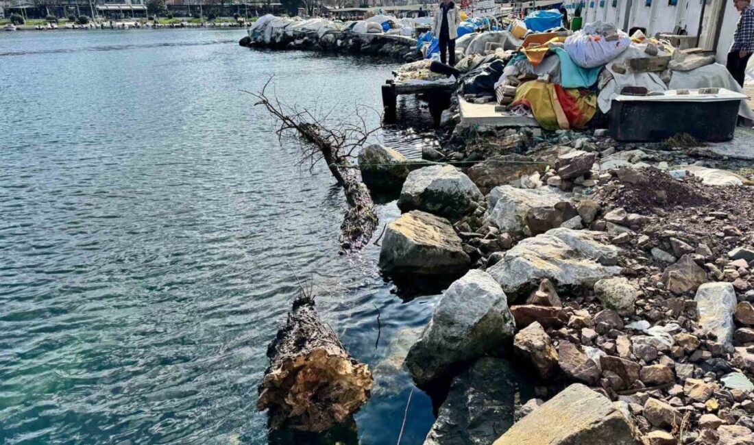 Marmara Denizi Yalova açıklarında deniz yüzeyinde bulunan ve deniz trafiği