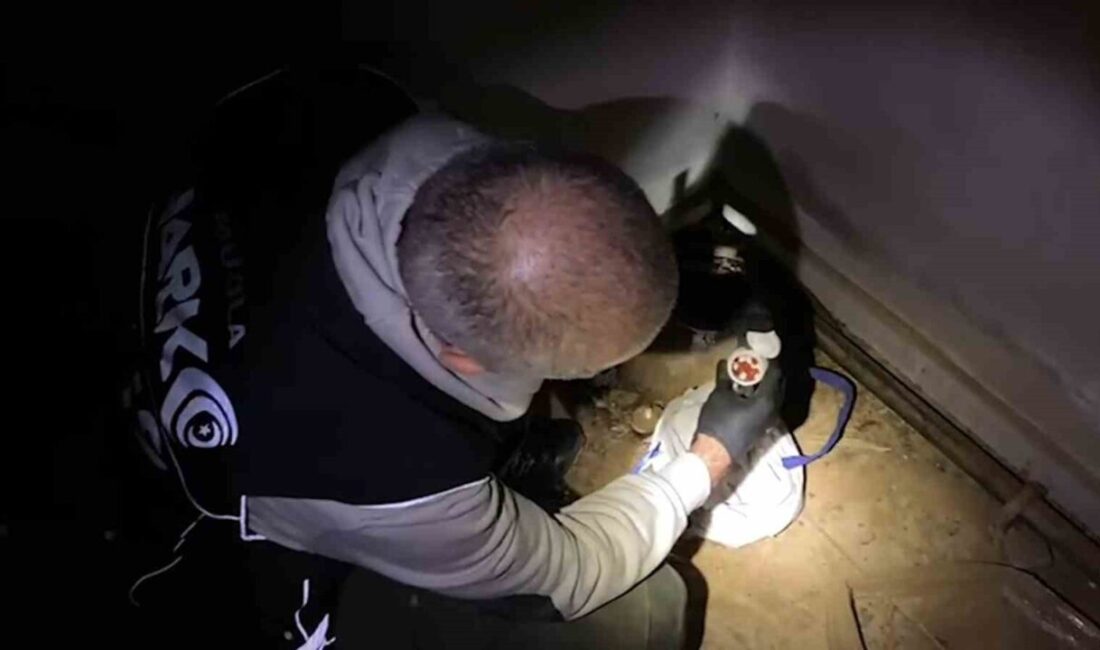 Muğla Emniyet Müdürlüğü narkotik ekipleri tarafından Marmaris ilçesinde düzenlenen uyuşturucu