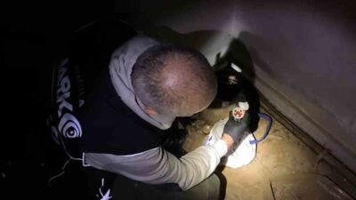 Muğla Emniyet Müdürlüğü narkotik ekipleri tarafından Marmaris ilçesinde düzenlenen uyuşturucu