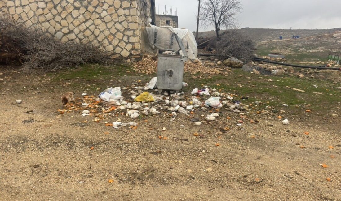 Mardin’in Mazıdağı ilçesine bağlı kırsal mahallelerde yaklaşık 10 gündür çöp