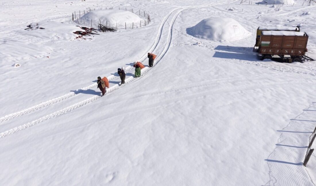 Mardin’in Mazıdağı ilçesinde etkili olan kar yağışı kırsal mahallelerde hayatı