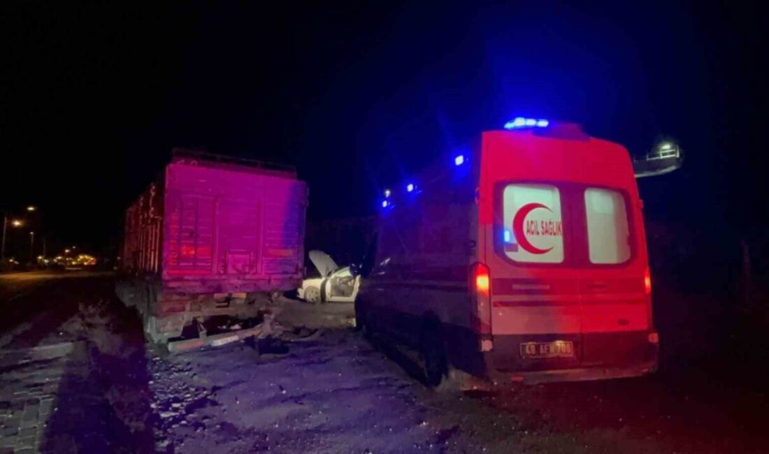 Muğla’nın Menteşe ilçesine bağlı Bayır Mahallesi’nde 25 Aralık’ta meydana gelen