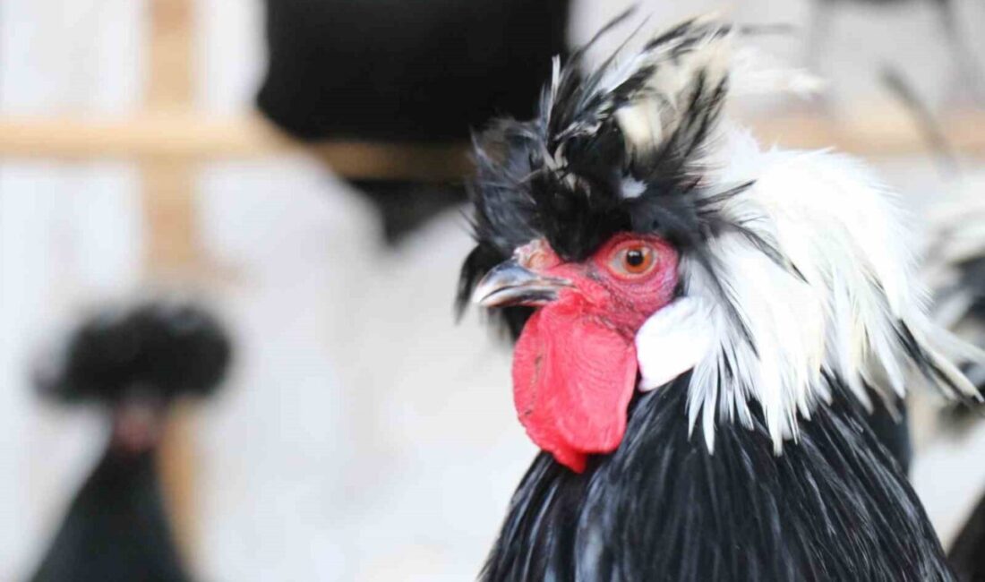 Denizli’de mermer sektöründe çalışan 46 yaşındaki Servet Birsin, üç yıl