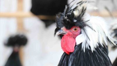 Denizli’de mermer sektöründe çalışan 46 yaşındaki Servet Birsin, üç yıl