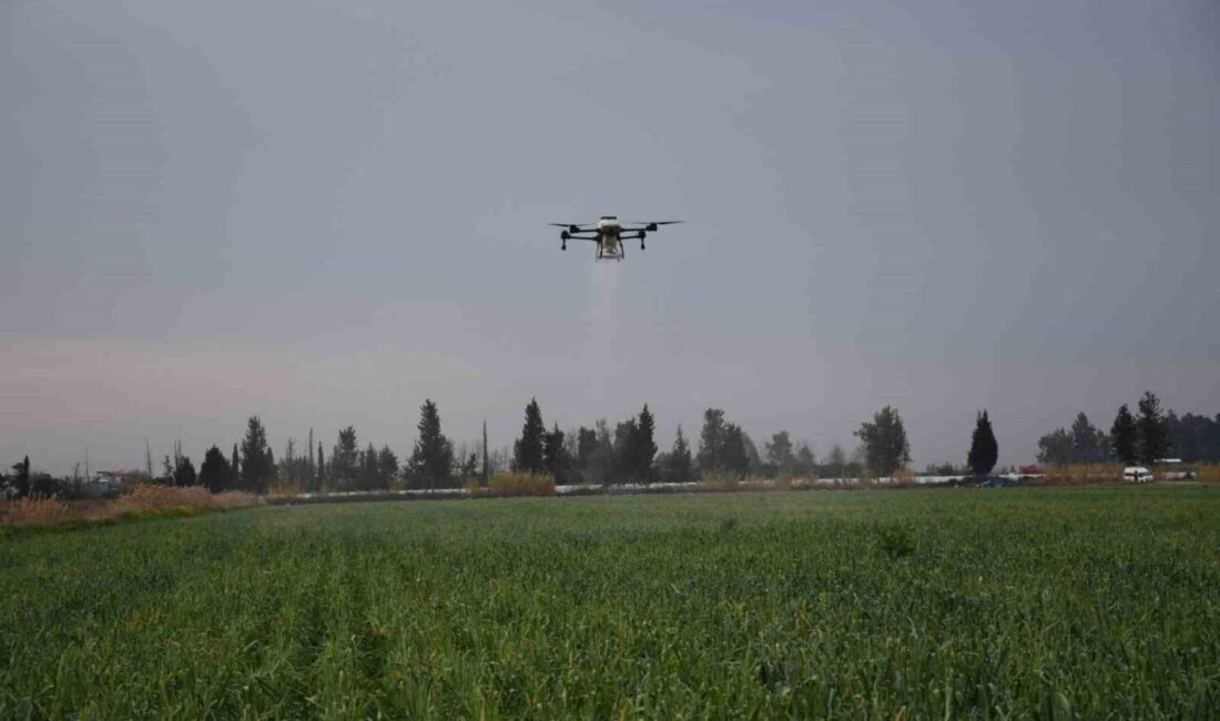 Türkiye’nin tarımda önemli üretim merkezlerinden Mersin’de dronla yapılan gübreleme ve
