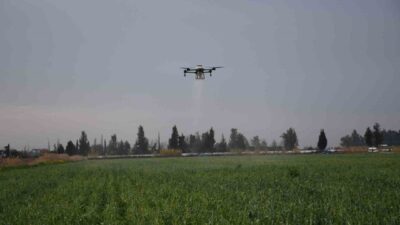 Türkiye’nin tarımda önemli üretim merkezlerinden Mersin’de dronla yapılan gübreleme ve