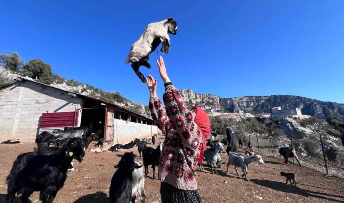 Mersin’de üniversite eğitimini tamamladıktan sonra şehir hayatını geride bırakarak köydeki