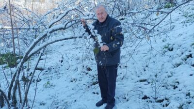 Giresun’da mevsim normallerinde yağan kar yağışı, fındık üreticileri tarafından sevinçle
