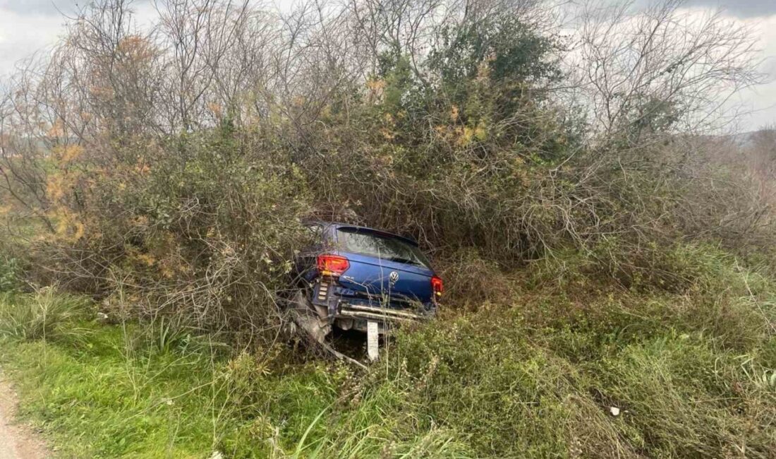 Milas-Bodrum karayolunda hakimiyeti kaybolan aracın şarampole uçması sonucu meydana gelen