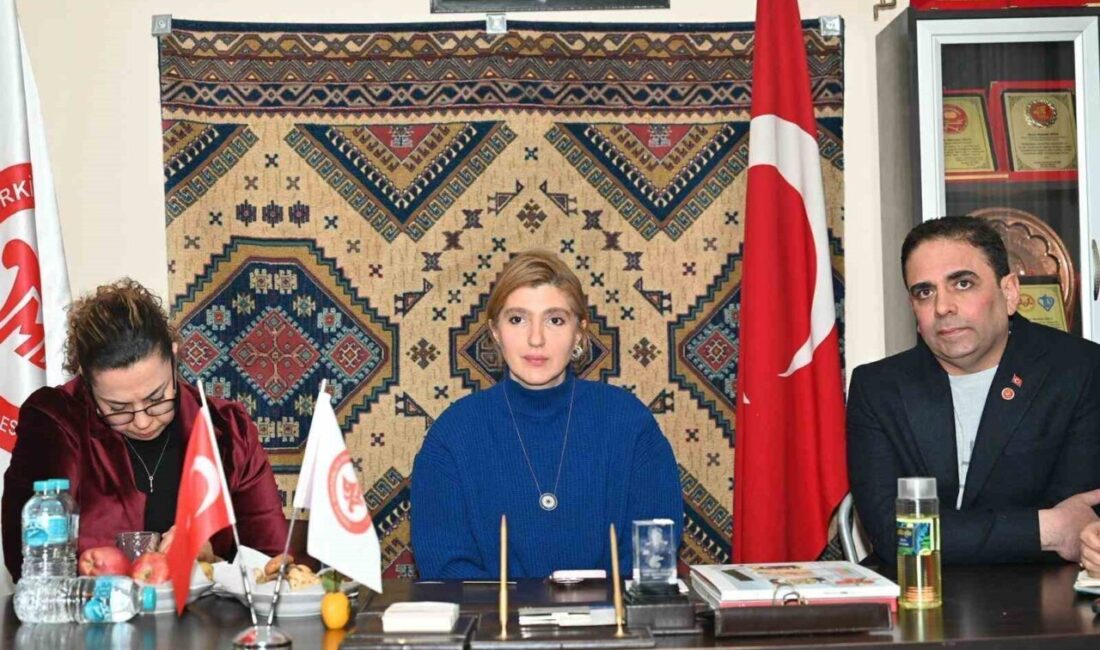 AK Parti Malatya Milletvekili İnanç Siraç Kara Ölmeztoprak, Kuyulu, Kırlangıç