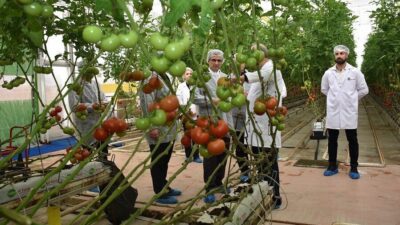 Manisa’nın Salihli ilçe Kaymakamı Ali Güldoğan, yılın 12 ayı tarımsal