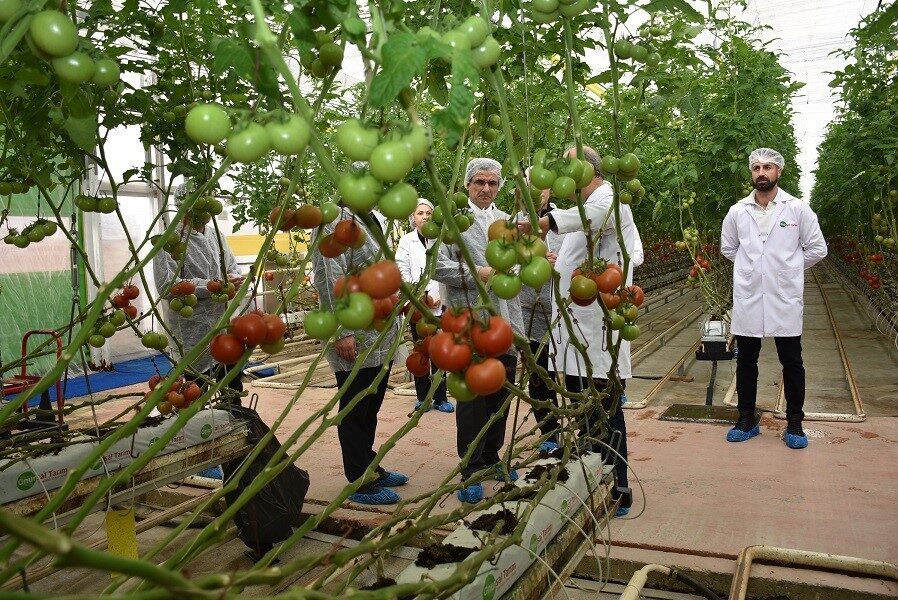 Manisa’nın Salihli ilçe Kaymakamı Ali Güldoğan, yılın 12 ayı tarımsal