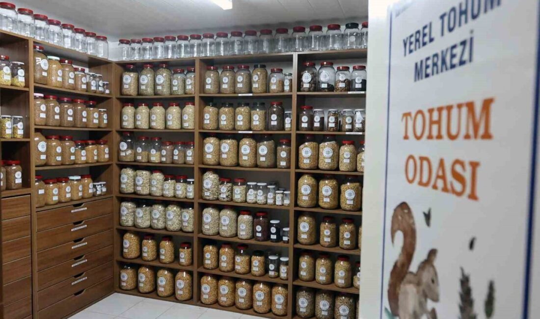 Muğla Büyükşehir Belediyesi, yerel tarımsal değerlerin korunması ve gelecek kuşaklara