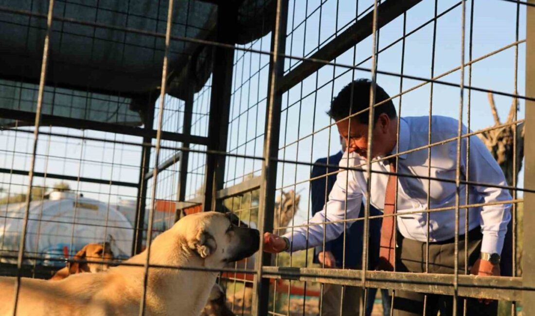 Türkiye’nin en donanımlı Hayvan Bakım Evleri’nden birini Muğla’ya kazandıran Büyükşehir