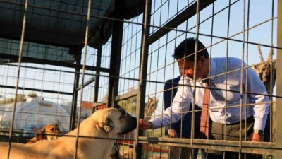Türkiye’nin en donanımlı Hayvan Bakım Evleri’nden birini Muğla’ya kazandıran Büyükşehir